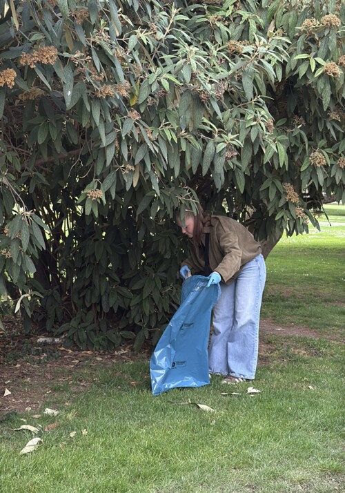 Eine Person sammelt M&uuml;ll in einem blauen M&uuml;llbeutel im Stadtpark