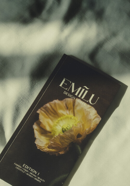 Cover des EmiLu Guest Guides